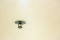 Fire protection.Fire sprinkler head on white ceiling in the building, Royalty Free Stock Photo