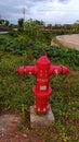 Fire protection hydrant system placed beside a walkway and vegetation in an outdoor setting. Royalty Free Stock Photo