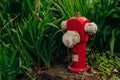 A fire red hydrant in the grass Royalty Free Stock Photo