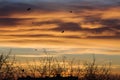 Fire red orange clouds sky texture background Royalty Free Stock Photo