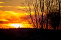 Fire red sunset behind trees silhouette Royalty Free Stock Photo