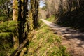 Fire Road North Cascade Mountains NF-22 Nationa Forest