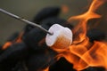 Fire roasted marshmallow