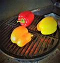 Fire Roasting Bell Peppers