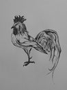 Fire rooster. Black and white drawing.