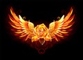 Fire rose with wings on black background Royalty Free Stock Photo
