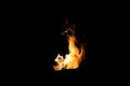 Fire shapes, burning fire Royalty Free Stock Photo
