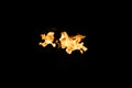 Fire shapes, burning fire Royalty Free Stock Photo