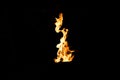 Fire shapes, burning fire Royalty Free Stock Photo