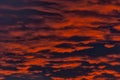 Fire in the sky. Red sunset with clouds. Royalty Free Stock Photo