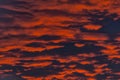 Fire in the sky. Red sunset with clouds. Royalty Free Stock Photo