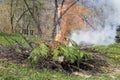 Fire and Smoke from during Burning branches Royalty Free Stock Photo