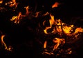 Fire spark background. Beautiful stylish fire flames during the night. Fire flame with burning red hot sparks isolated on black