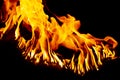 Fire and sparks, from a campfire on a dark night background, front and background blurred Royalty Free Stock Photo