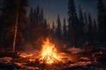 fire sparks rising from a campfire in the wilderness