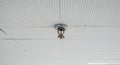Fire Sprinkler in a Suspended Ceiling: Safety First, Protection, Prevention, Security, Installation, System, Inspection Royalty Free Stock Photo