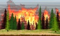 Fire in the spruce forest. Burning trees. Wildfire. Catastrophe