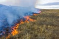 Fire in the steppe. Burning dry grass, emergency. Royalty Free Stock Photo