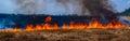 A fire on the stubble of a wheat field after harvesting. Enriching the soil with natural ash fertilizer in the field after