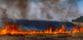 A fire on the stubble of a wheat field after harvesting. Enriching the soil with natural ash fertilizer in the field after