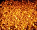 Fire texture background