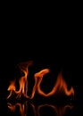 Fire texture backgrounds