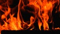 Fire. Fire texture. Burning wood in the fireplace. Close-Up Of Fire In The Dark. Fire flames burning isolated on black background Royalty Free Stock Photo