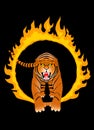 Fire tiger Royalty Free Stock Photo