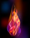 Fire torch vector colored sparks burn