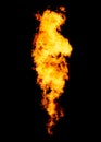 Fire tornado, flame isolated on black