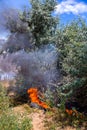 fire among the trees of olives a car tire is burning, throwing black clouds. Royalty Free Stock Photo