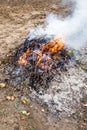 fire from twigs and fallen leaves at garden Royalty Free Stock Photo