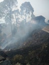 Fire in Uttarakhand`s forests Likely to urn home