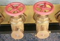 Fire valves