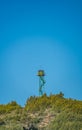 Fire vigilance tower over the hill with text space Royalty Free Stock Photo