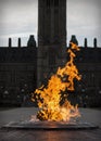 Fire and Water at Ottawa Parliament Hill memorial Royalty Free Stock Photo