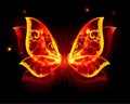 Fire Wings of Butterfly on black background Royalty Free Stock Photo