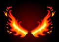 Fire wings on dark background