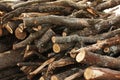 Fire wood Royalty Free Stock Photo