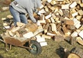 Fire wood