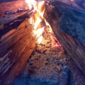 fire wood in the afternoon because the weather is very cold Royalty Free Stock Photo