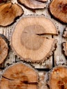 Fire wood background texture. closeup of chopped fire wood stack Royalty Free Stock Photo