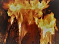 Fire in a wood boiler Royalty Free Stock Photo