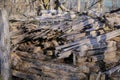 Fire wood pile Royalty Free Stock Photo