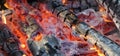 Fire woods and hot coal in a grill Royalty Free Stock Photo