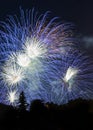 Fire works celebration Royalty Free Stock Photo