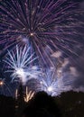 Fire works celebration Royalty Free Stock Photo