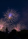 Fire works celebration Royalty Free Stock Photo