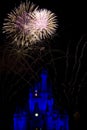 Fire Works and Disney World Castle