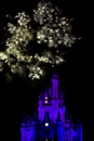 Fire Works over Disney Castle